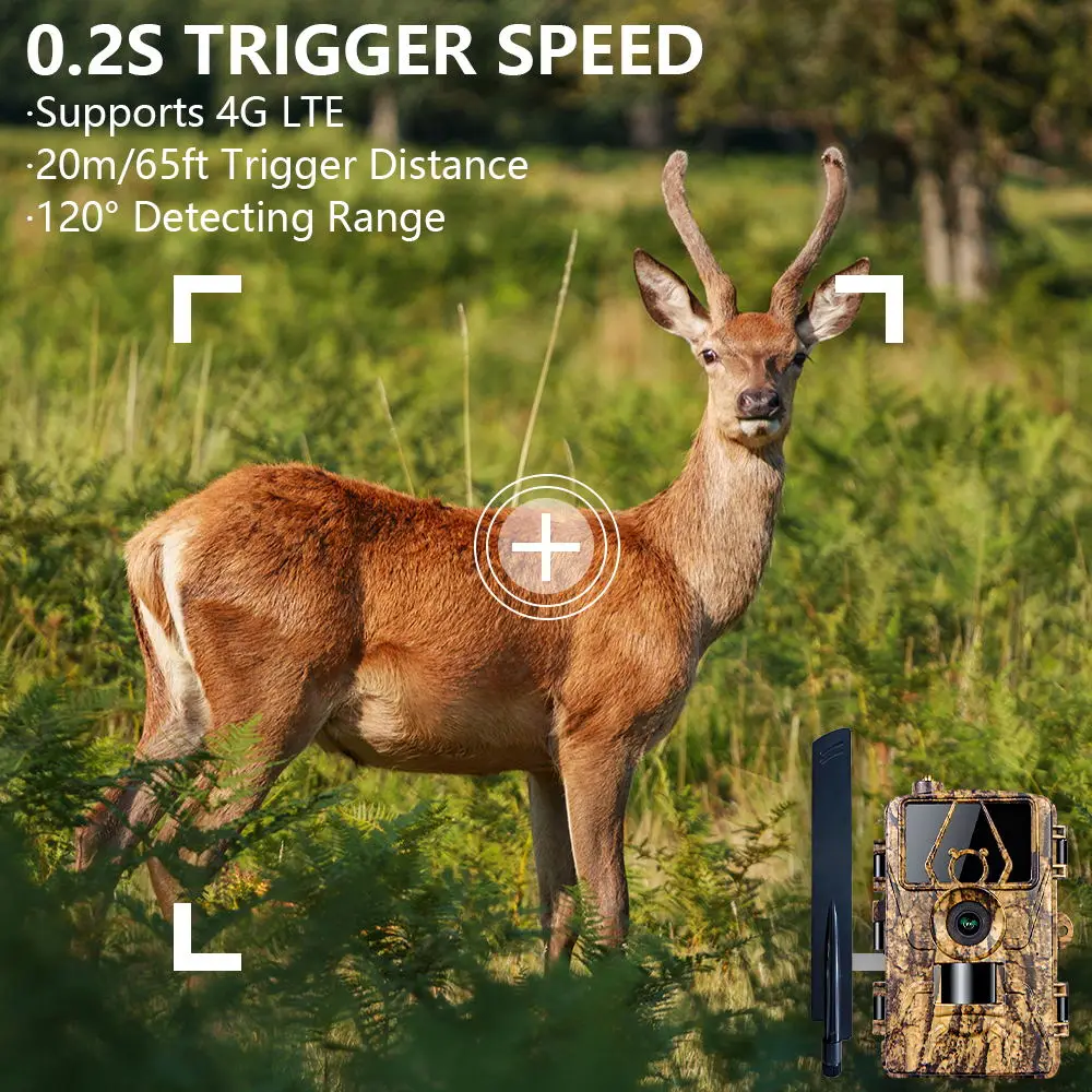 Pr801 4G 네트워크 관찰 사냥 카메라 하우스 안전 - Outdoor Hunting House 리뷰 및 가격